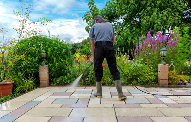 Trusted Winfield, IA Pressure washing Experts